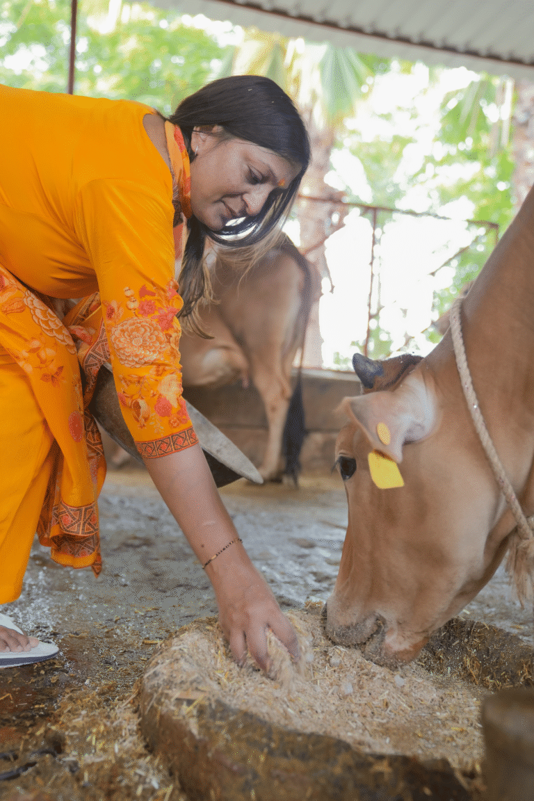 Gau Seva